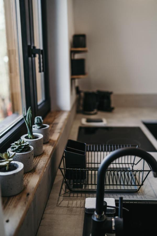 Апартаменты Tatra Loft Закопане Экстерьер фото