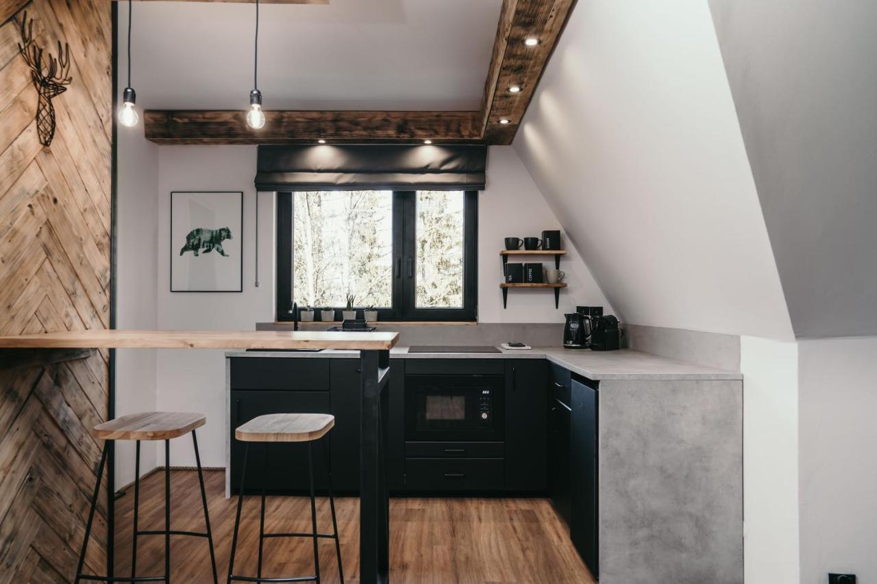 Апартаменты Tatra Loft Закопане Экстерьер фото